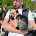  ,   , 35 ,   ,   , c 