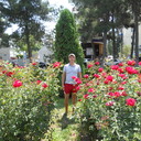 ���������� ���������, ���� ������� ��������, 55 ���, ������������ ��� ������, ����� � ���������, c�������� ���������