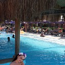  -,   , 39 ,   ,   , c 