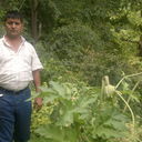  ,   , 54 ,   