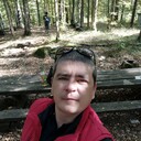  -,   , 41 ,   ,   , c 