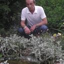  ,   , 75 ,   