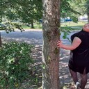 ���������� �����-���������, ���� ������� ���, 35 ���, ������������ ��� ����� � ���������, c�������� ���������, ���������