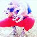 ���������� ��������, ���� ������� ������, 29 ���, ������������ ��� ������, ����� � ���������