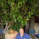 ���������� �������, ���� ������� �����, 50 ���, ������������ ��� ������, ����� � ���������, c�������� ���������