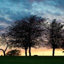 ���������� ������, ���� ������� ���������, 63 ����, ������������ ��� ����� � ���������, c�������� ���������