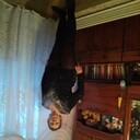  ,    , 69 ,     , c 