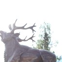  ,   , 43 ,   ,   , c 