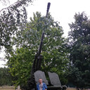 ���������� ����, ���� ������� Baku, 35 ���, ������������ ��� ������, ����� � ���������, c�������� ���������