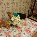 ���������� ������, ���� ������� �������, 57 ���, ������������ ��� c�������� ���������