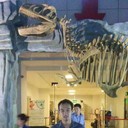 ���������� �������, ���� ������� �����, 34 ����, ������������ ��� ������, ����� � ���������, c�������� ���������, ���������