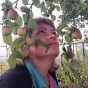 ���������� ������������, ���� ������� �������, 53 ����, ������������ ��� c�������� ���������, ���������