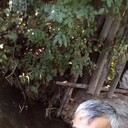  ,   , 54 ,   c 