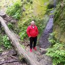 ���������� ������, ���� ������� �������, 49 ���, ������������ ��� ������, ����� � ���������, c�������� ���������