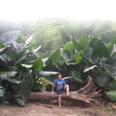 ���������� �������, ���� ������� �����, 42 ����, ������������ ��� ����� � ���������, c�������� ���������