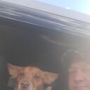 ���������� �����-���������, ���� ������� �������, 52 ����, ������������ ��� ������, ����� � ���������