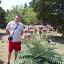 ���������� �������, ���� ������� �����, 53 ����, ������������ ��� ������, ����� � ���������, c�������� ���������