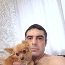  ,   , 41 ,     , c , 