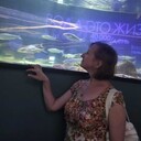  ,   , 51 ,     , c 