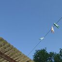  Nuernberg,   Alexander, 47 ,     , c 