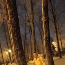 ���������� �����, ���� ������� ����, 37 ���, ������������ ��� ������, ����� � ���������, ���������