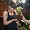 ���������� ������, ���� ������� �����, 34 ����, ������������ ��� ������, ����� � ���������, c�������� ���������, ���������