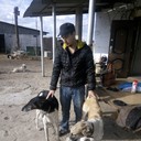 ���������� ���������, ���� ������� ������, 34 ����, ������������ ��� ������, ����� � ���������, c�������� ���������