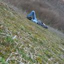 ���������� ������, ���� ������� ��������, 31 ���, ������������ ��� ������