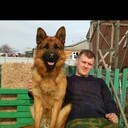 ���������� ����, ���� ������� Andrey, 34 ����, ������������ ��� ������, ����� � ���������