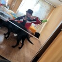 ���������� �����������, ���� ����� �������, 25 ���, ������������ ��� ������, ����� � ���������