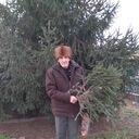 ���������� ���������, ���� ������� ����, 66 ���, ������������ ��� ������, ����� � ���������, c�������� ���������