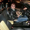 ���������� ���������, ���� ������� ����, 37 ���, ������������ ��� ������, ����� � ���������, c�������� ���������