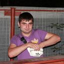 ���������� ������, ���� ������� ����, 36 ���, ������������ ��� ������, ����� � ���������, c�������� ���������