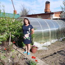  ,   , 62 ,  