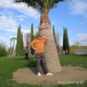 ���������� ���������, ���� ������� ����, 55 ���, ������������ ��� ������, ����� � ���������