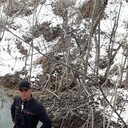 ���������� ������, ���� ������� �����, 32 ����, ������������ ��� ������, ����� � ���������