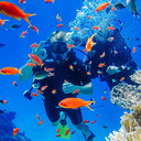 ���������� �������, ���� ������� ����, 39 ���, ������������ ��� ������, ����� � ���������, c�������� ���������