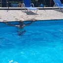 ���������� ������, ���� ������� �����, 39 ���, ������������ ��� ������, ����� � ���������