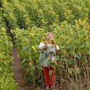  ,   , 44 ,     , c , 