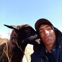 ���������� ���������, ���� ������� ����, 39 ���, ������������ ��� ������, ����� � ���������, c�������� ���������