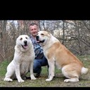   ,   , 50 ,  