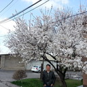  ,   , 49 ,   ,   , c 