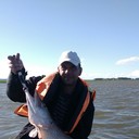 ���������� ������, ���� ������� �������, 53 ����, ������������ ��� ������, ����� � ���������, c�������� ���������