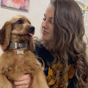 ���������� ���������, ���� ������� �����, 21 ���, ������������ ��� ����� � ���������, c�������� ���������