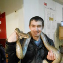  ,   , 38 ,   