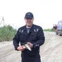 ���������� ���������, ���� ������� �������, 42 ����, ������������ ��� ������, ����� � ���������