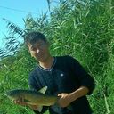 ���������� ������, ���� ������� �����, 43 ����, ������������ ��� ������, ����� � ���������, c�������� ���������