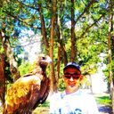 ���������� ������, ���� ������� �����, 38 ���, ������������ ��� ������, ����� � ���������