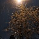 ���������� �����-�������, ���� ����� �������, 23 ����, ������������ ��� ���������