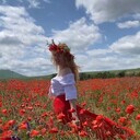 ���������� ����������� ����, ���� ������� �������, 40 ���, ������������ ��� ������, ����� � ���������, c�������� ���������